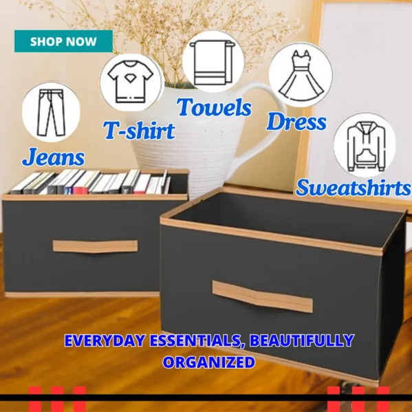 Foldable Storage Boxes Set of 6 for Wardrobe & Clothes
