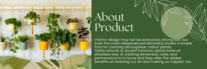 Mkono Macrame Plant Hanger 35 inch Indoor Outdoor Pot Holder