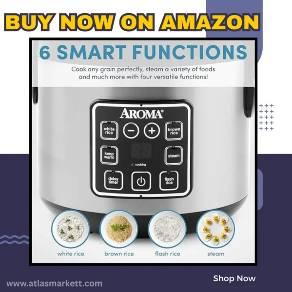 Digital 2 Qt Rice Cooker & Multicooker Stainless Steel with preset controls