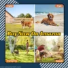 15ft Dog Tie Out Cable Heavy Duty Reflective Lead for Yard used for camping outdoors