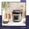 Digital 2 Qt Rice Cooker & Multicooker Stainless Steel cooking white rice