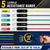 Adjustable resistance bands with handles for strength training and home workouts