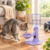 Cat water dispenser stand with elevated spill-proof water bowl