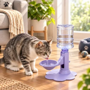 Cat water dispenser stand with elevated spill-proof water bowl