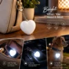 White LED purse light designed for handbags and mini purses